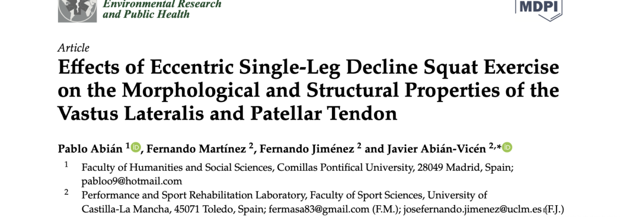 Effects of Eccentric Single-Leg Decline Squat Exercise on the Morphological and Structural Properties of the Vastus Lateralis and Patellar Tendon