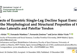 Effects of Eccentric Single-Leg Decline Squat Exercise on the Morphological and Structural Properties of the Vastus Lateralis and Patellar Tendon