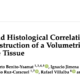 Ultrasonographic and Histological Correlation after Experimental Reconstruction of a Volumetric Muscle Loss Injury with Adipose Tissue